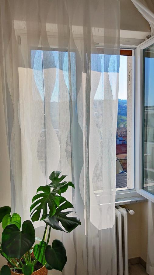 B&B Le Albarelle Екстериор снимка